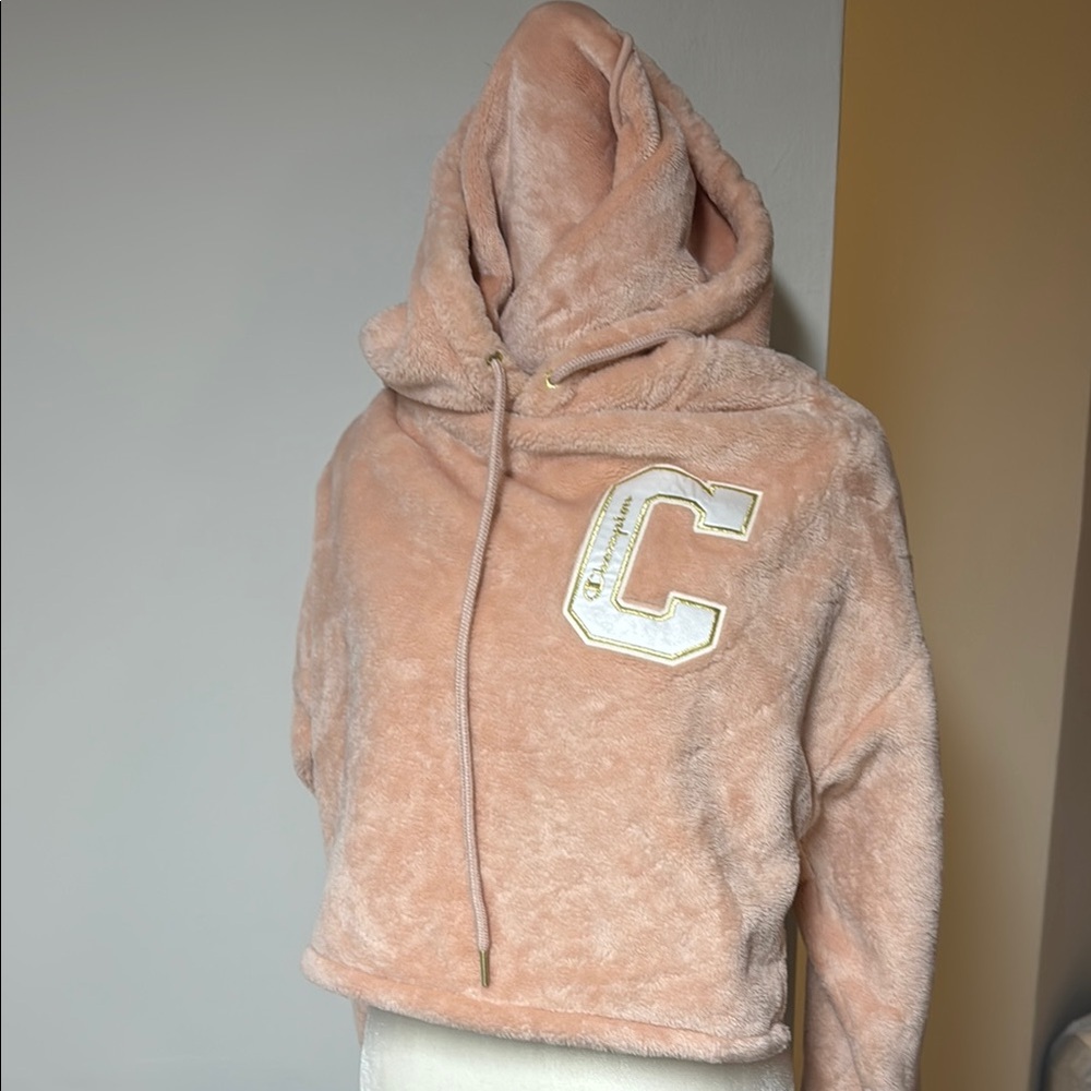 Champion Pink Hoodie Sweater